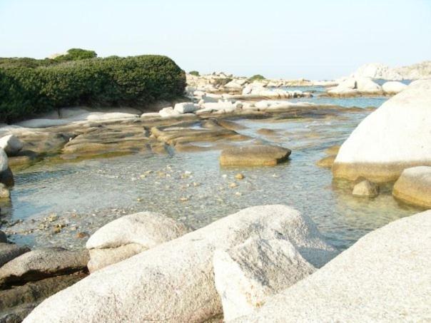 Gente Di Mare - Case Vacanza Santa Teresa Gallura Bagian luar foto